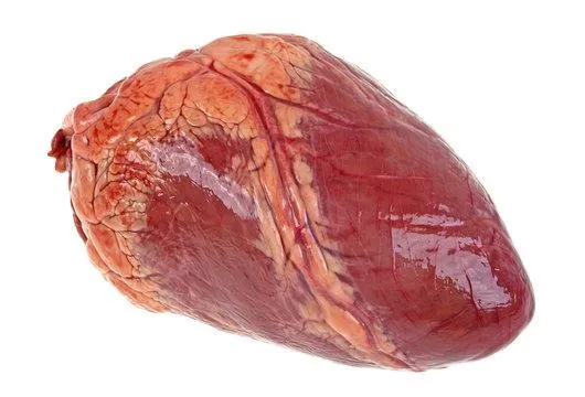 Beef Heart
