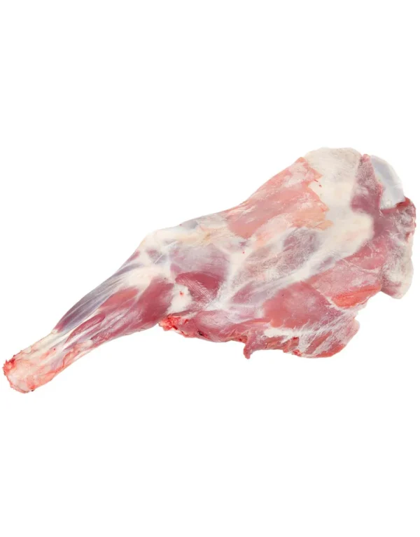 Baby Goat Leg