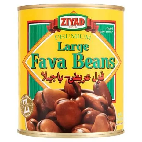 Ziyad Large Fava Beans (850 Gm)