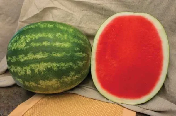 Black Watermelon