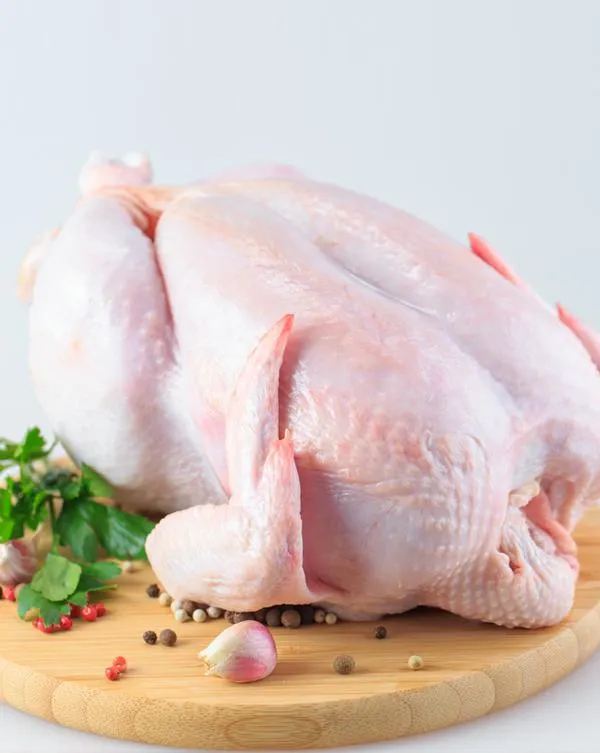 Regular Chicken