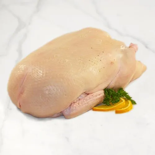 Frozen Duck 6lb+