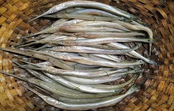 Kakila Fish