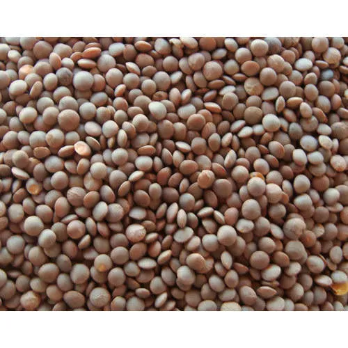 Masoor Dal With Skin 2lb