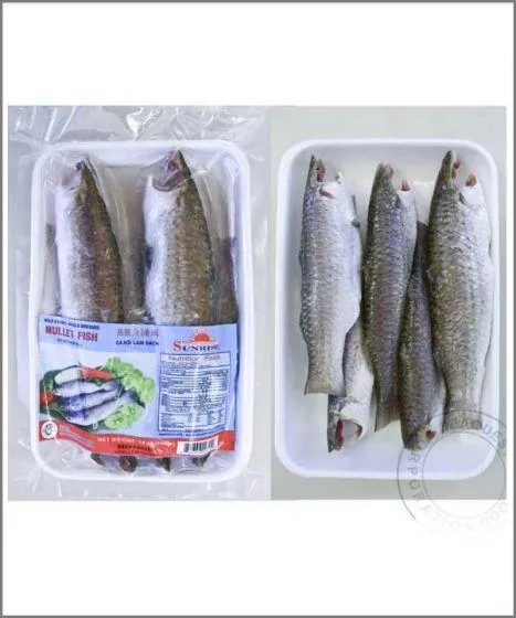 Mullet Fish Tray