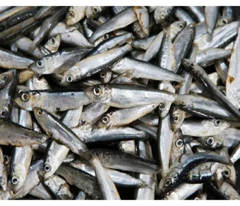 Whitebait Fish (Keski) 250gm